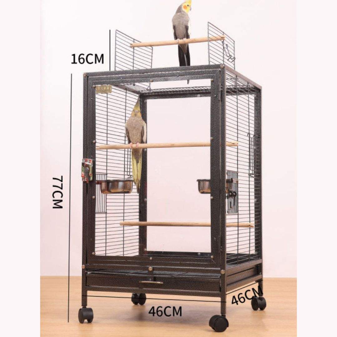 Black (Front and back transparent) (required assemble)