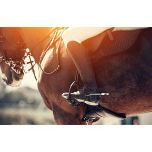 Éperons d'équitation de qualité supérieure, meilleure vente, prix de gros bon marché, éperons d'équitation en acier inoxydable, équipement de sécurité équestre - Product Image 5