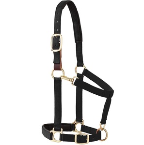 SAISHAS English Saddle Horse Halter Durable Nylon with Padded Noseband & Strong Leather Custom <b>Hardware</b> for Everyday Use - Product Image 1