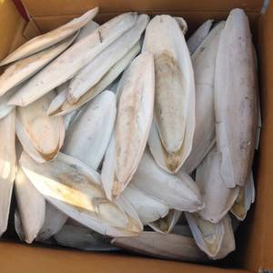 Oferta Especial: Calamar y Hueso de Sepia Orgánicos Secos 100% Naturales, Golosinas para Loros, OEM/ODM en Vietnam - Product Image 6