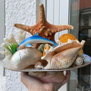 Décoration en coquillages naturels, sculpture d'art en coquillages de dauphin et de poisson, artisanat en coquillages fait à la main - Product Image 1