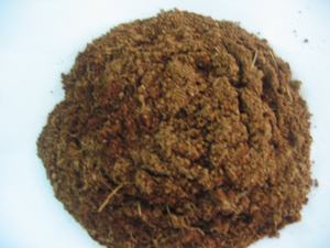 ¡Más vendido! Polvo de cáscara de coco Grado 80-200 Malla Humedad 10% Max Vietnam Aditivo agrícola Suministro a granel Listo para la exportación - Product Image 3