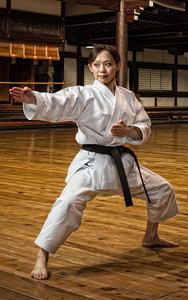 Venta caliente personalizado todo color Kung Fu uniforme mejor artes marciales Karate Judo diseño haz tu propia ropa Kung Wu - Product Image 5