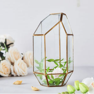 Premium Design Wholesale Prices Cylindrical Shaped Clear Glass Terrarium Brass <b>Frame</b> Gold Finished for Garden Plants Decorations - Product Image 2