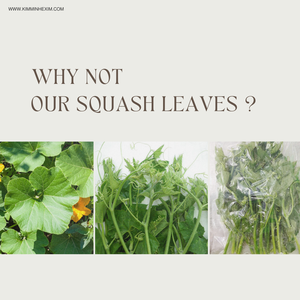 Kim Minh ประเทศผู้ผลิตชั้นนำของสควอชสดแช่แข็ง (ฟักทอง) ใบผักได้รับการรับรอง iqf-ส่งออกโดยตรงจากเวียดนาม - Product Image 3