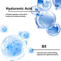 Sérum Visage Hydratant à l'Acide Hyaluronique Pur et Vitamine B5, Essence Liquide Hydratante à Base d'Eau pour l'Hydratation Quotidienne de la Peau - Vente en Gros OEM