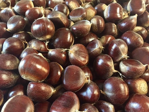 Castañas Frescas 2026, 30-40 Piezas/kg, en Saco de Yute de 20 kg, Castañas Peladas en Venta - Product Image 4