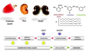 Huile de coquille de noix de cajou brute/huile de noix de cajou brute du Vietnam/production de biocarburant (biodiesel) - Product Image 4