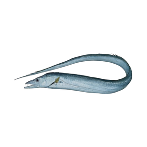 แพ็คน้ำมันเกลือแช่แข็งปลาริบบิ้นออร์แกนิคแพ็คสุญญากาศแพ็คน้ำมันทั้งไขมันวิตามิน - Product Image 3