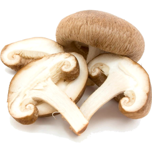 Hongos Shiitake Crudos Cultivados Orgánicamente 10 kg Secos - Product Image 6