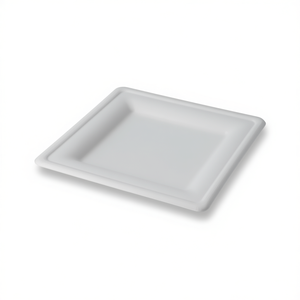 Plato Desechable Cuadrado de 10 Pulgadas - Product Image 2