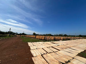 Venta caliente Chapa de cara de goma-100% Chapa de madera de caucho chapas de caucho secado al horno Fabricación de madera contrachapada - Product Image 4