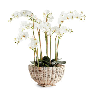 Une belle pièce maîtresse de table de beaux tons naturels variés dans le bol à pied tissé en rotin - Product Image 5