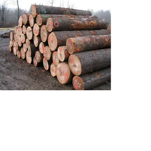 Troncos de Madera de Pino Redondos de Alta Calidad Doussie, Grado Superior, 100 m de Diámetro, 34 cm de Longitud, 2 Años de Vida Útil - Product Image 3