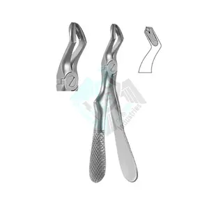 Best Extracting Forceps For Children Klein Engl Pattern Without Spring Japanese Material Stainless Steel Made By Pissco Pakistan