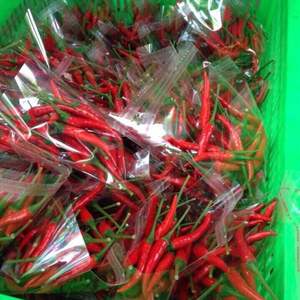 Piment rouge de qualité supérieure pour la vente en gros - Product Image 5