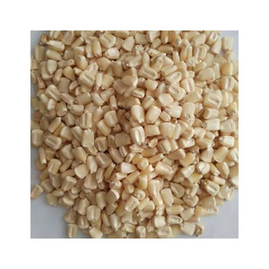 ข้าวโพดสีขาวขายในปริมาณมากผู้ผลิตที่เชื่อถือได้ - Product Image 2