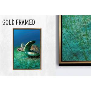 Lienzo con estampado elegante de tortuga tropical: Paraíso azul y verde, 1 pieza con marco dorado - Product Image 1