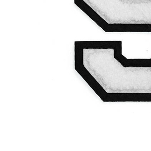 2024 แพทช์ปัก chenille ขายร้อนสําหรับขายที่ผลิตในปากีสถาน | ราคาถูกจํานวนขั้นต่ําต่ําจํานวนแพทช์ปัก chenille - Product Image 2