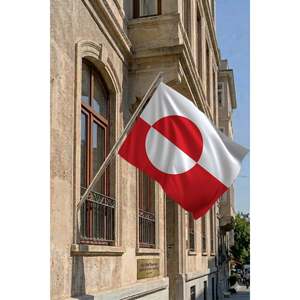 Mástil telescópico para bandera de Groenlandia, conjunto de banderín de poliéster montado en pared con impresión digital para automoción, educación y seguros - Product Image 2