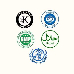 Sérum Gel d'Aloe Vera Premium Pressé à Froid Certifié Halal Enrichi en Minéraux pour le Visage : Éclaircissant, Raffermissant et Hydratant - Product Image 6