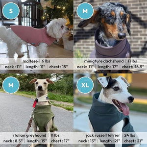 Buen diseño, recién llegado, ropa de invierno, chaquetas para perros, superventas en nuevas existencias, chaquetas para perros - Product Image 4