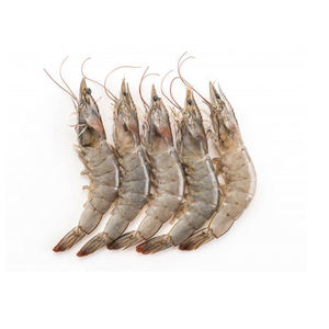 Best Quality Frozen <b>Shrimps</b> <b>for</b> <b>Sale</b> in Cheap Price Wholesale Frozen <b>Shrimps</b> - Product Image 4