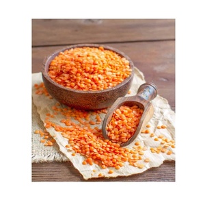 Fournisseur en gros Masoor Dal de stock frais en vrac de lentilles rouges biologiques/lentilles rouges fendues - Product Image 6