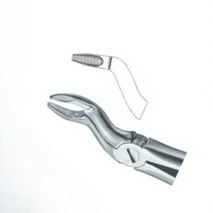 Pince à extraire les dents Fig67 N Meilleure qualité Logo personnalisé Produits Instruments dentaires en acier inoxydable - Product Image 3