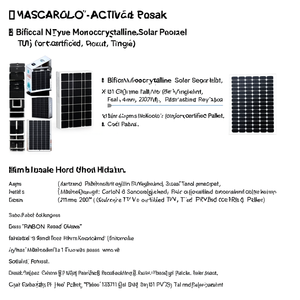 Panneau solaire monocristallin bifacial de type N 600W à haute efficacité, cellule de 210 mm, certifié TUV pour palette - Product Image 2