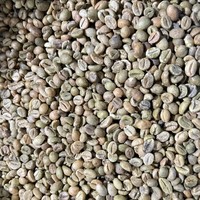 Café Vert Robusta du Vietnam, Grains Taille 13, 2% Non Torréfiés, Bruts, Export en Vrac, Saveur Forte, Fournisseur de Café pour Mélanges Commerciaux