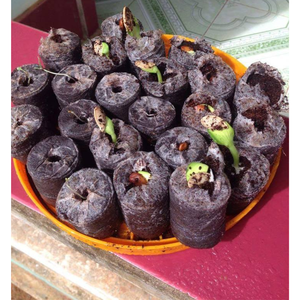 เม็ดมะพร้าวคุณภาพสูง / เม็ดเส้นใยมะพร้าวอินทรีย์สําหรับการปลูกพืช / เมล็ดสตาร์ทเมล็ดมะพร้าว Jiffy Pellet - Product Image 2