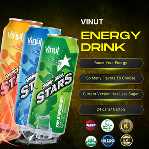 Fruit Punch 500 ml 16.9 floz Energy Drink J79 24 bouteilles carton bouteille en PET sans sucre OEM marque privée échantillon gratuit conception gratuite - Product Image 3