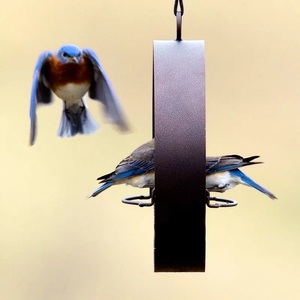 Garden Bird Feeder Attractive Bird Feeder Metal Birdhouse Feeder for Home Garden Decors Best Price India - Product Image 3