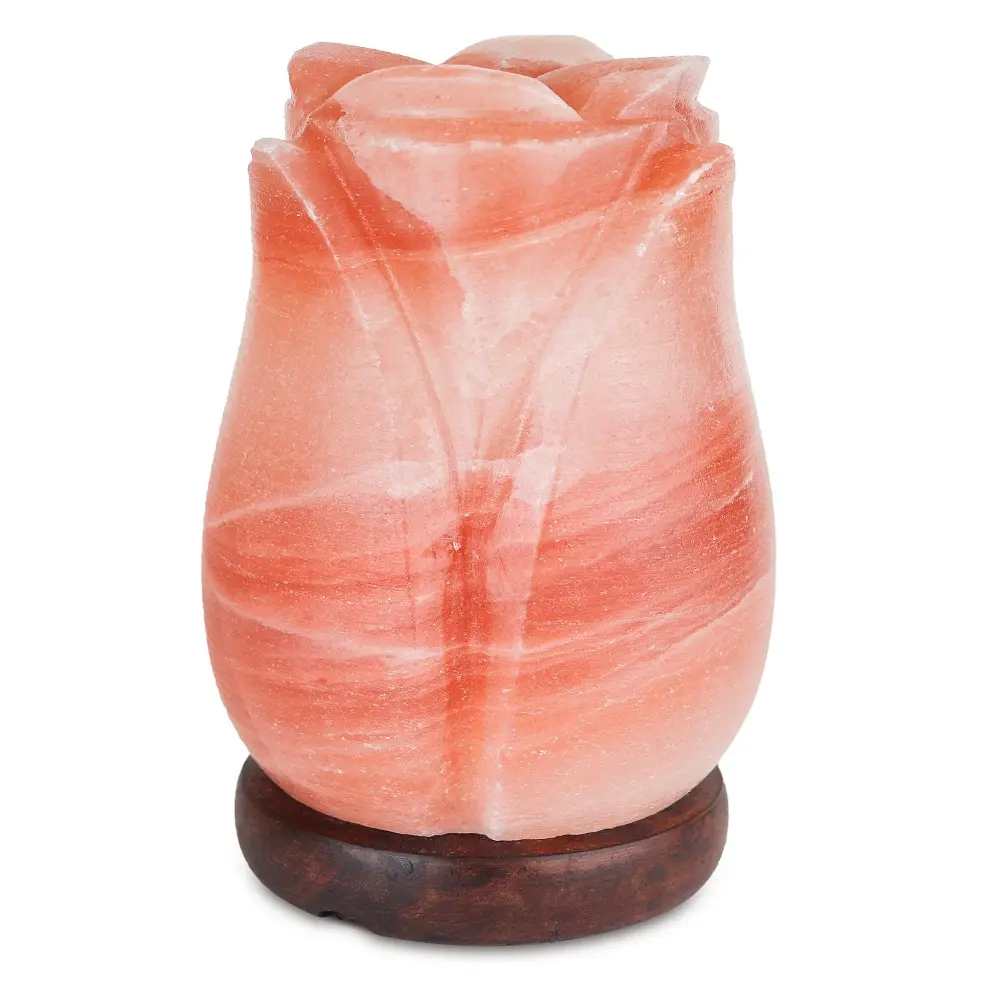 Premium Kwaliteit Handgemaakte Himalayan Zoutlamp Roze Kristal Himalayan Zoutroos Vorm Lamp