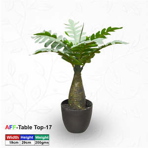 Artificial <b>Succulent</b> Bottle Palm Tabletop <b>Pot</b> - Product Image 1