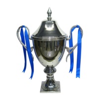 Trophées en métal de qualité supérieure, coupes de récompense, plaques, coupes sportives de luxe, artisanat indien, gravure au laser durable, logo personnalisé haut de gamme