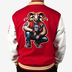 Veste universitaire de baseball de haute qualité à prix d'usine bon marché avec patchs de broderie personnalisés Collage au Pakistan - Product Image 6