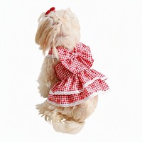 Robe de fête décontractée en polyester à double couche avec motif de roses pour petits chats et chiens, idéale pour les séances photo