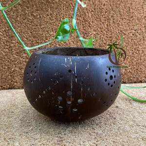 Venta al por mayor de lámpara de mesa de cáscara de coco ecológica hecha a mano decoración del hogar natural de Vietnam precio bajo - Product Image 6