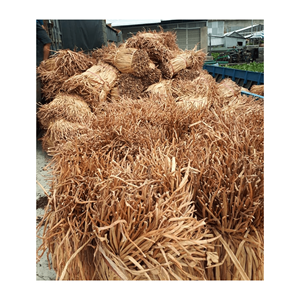 Fibres de jacinthe d'eau, teneur en fibres, produit agricole, Vietnam, jacinthe d'eau séchée, matière première pour le tissage artisanal - Product Image 6
