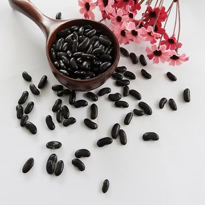 Organic Black Kidney <b>Beans</b>-Nutrient-Rich Dried Legumes with 24-Day Shelf Life | New Crop Fast Shipping - Product Image 4
