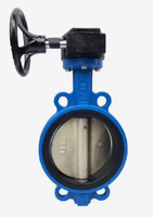 Válvula de Mariposa Manual PN16 con Cuerpo de Hierro Dúctil, Sello Blando EPDM y Volante de Turbina para Agua (Clase WOG)