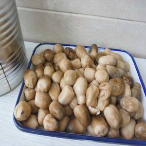 Champignons de paille en conserve de qualité prêts à l'emploi pour la cuisson de légumes nutritifs et délicieux pour les repas de famille Approvisionnement en gros - Product Image 2