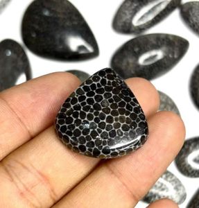 Cabochon de corail fossile noir naturel de haute qualité 100% pierres précieuses en vrac pour la décoration de bijoux faits à la main OEM disponible - Product Image 4
