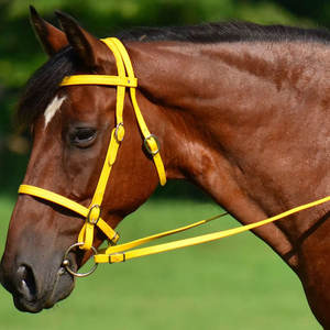 Brida de caballo de costura a mano duradera de PVC de diseño personalizado para carreras de caballos - Product Image 3