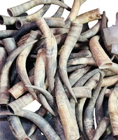 Corne de buffle/vache et pointe de corne de qualité naturelle, corne de buffle/vache et corne de bœuf, personnalisables pour la vente en gros par f s international