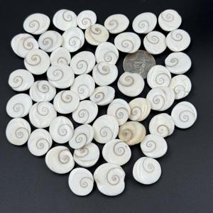 AAA + alta calidad 100% Natural ShivaEye cabujón tamaño personalizado mezcla forma blanco piedras preciosas sueltas joyería hacer lote disponible - Product Image 1