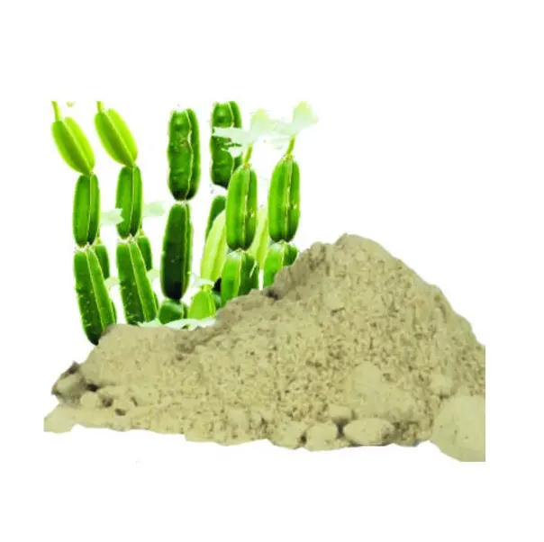 عالية الجودة العضوية Cissus المربعي مسحوق مستخرج من الورق | الأيورفيدا Cissus المربعي استخراج مسحوق