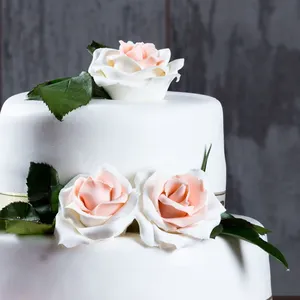 ลูกปัดสีน้ำเงินสีขาวน้ำตาลที่กินได้ fondant สำหรับตกแต่งเค้กใช้สำหรับเคลือบเค้กและทำรูป - Product Image 4